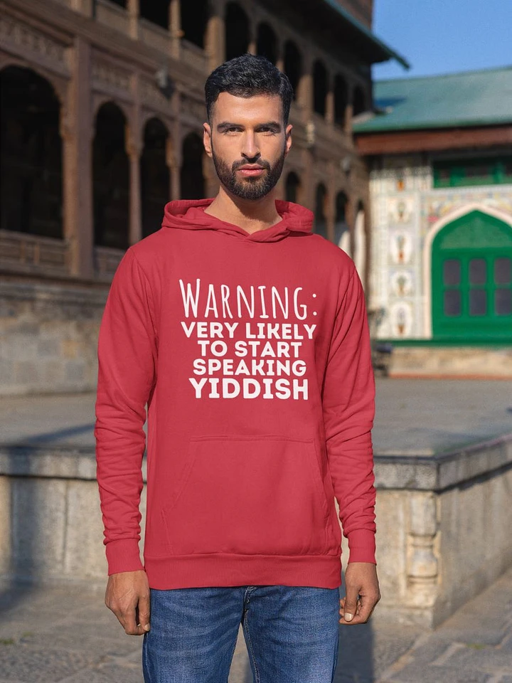 Speaking Yiddish Warning Hoodie product image (2)