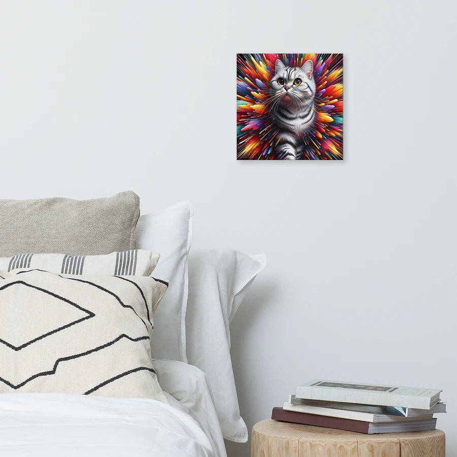 Canvas (in): American Shorthair product image (6)