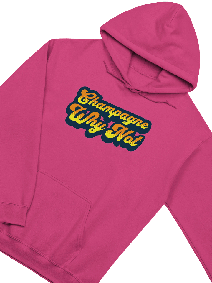 "Champagne, Why Not?" Funny Wine Quotes Hoodie for Wine Lovers product image (1)