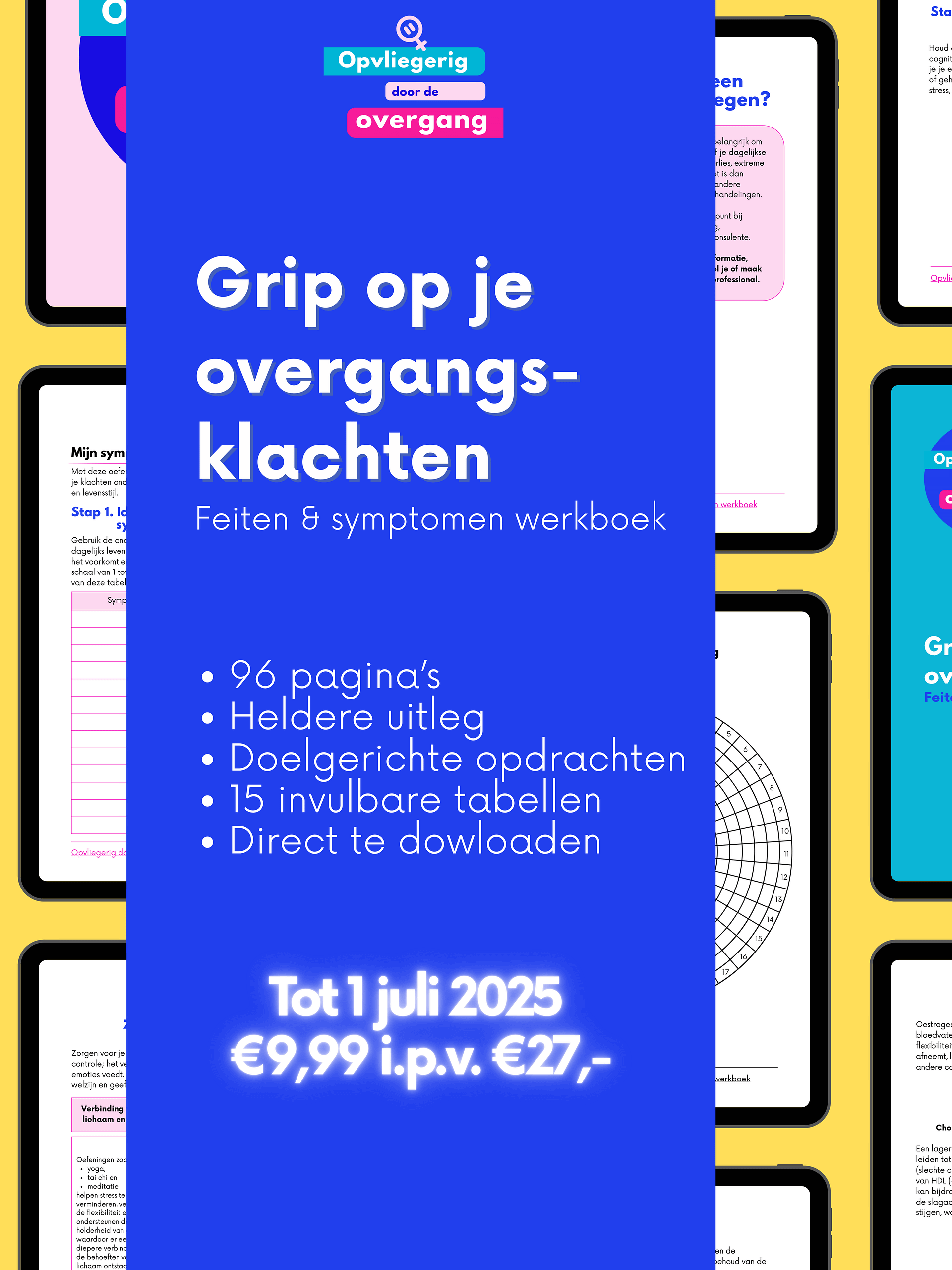 Grip op je overgangshormonen - Het Feiten & Symptomen Werkboek product image (2)