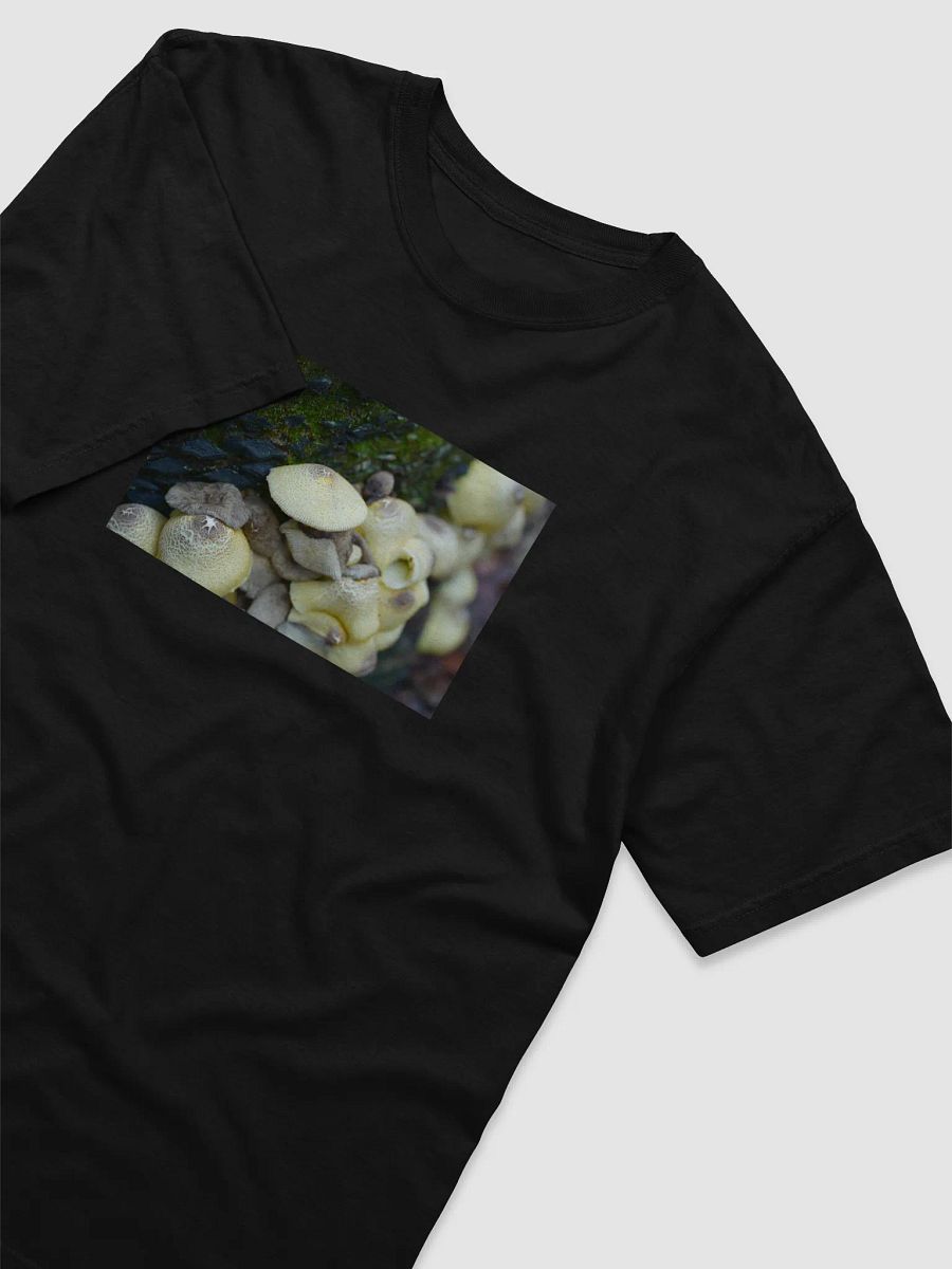 Mushrooms product image (3)