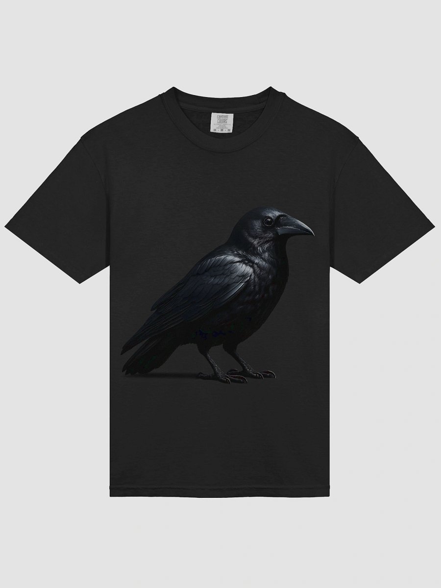 Raven Feathers Comfort Tee product image (8)
