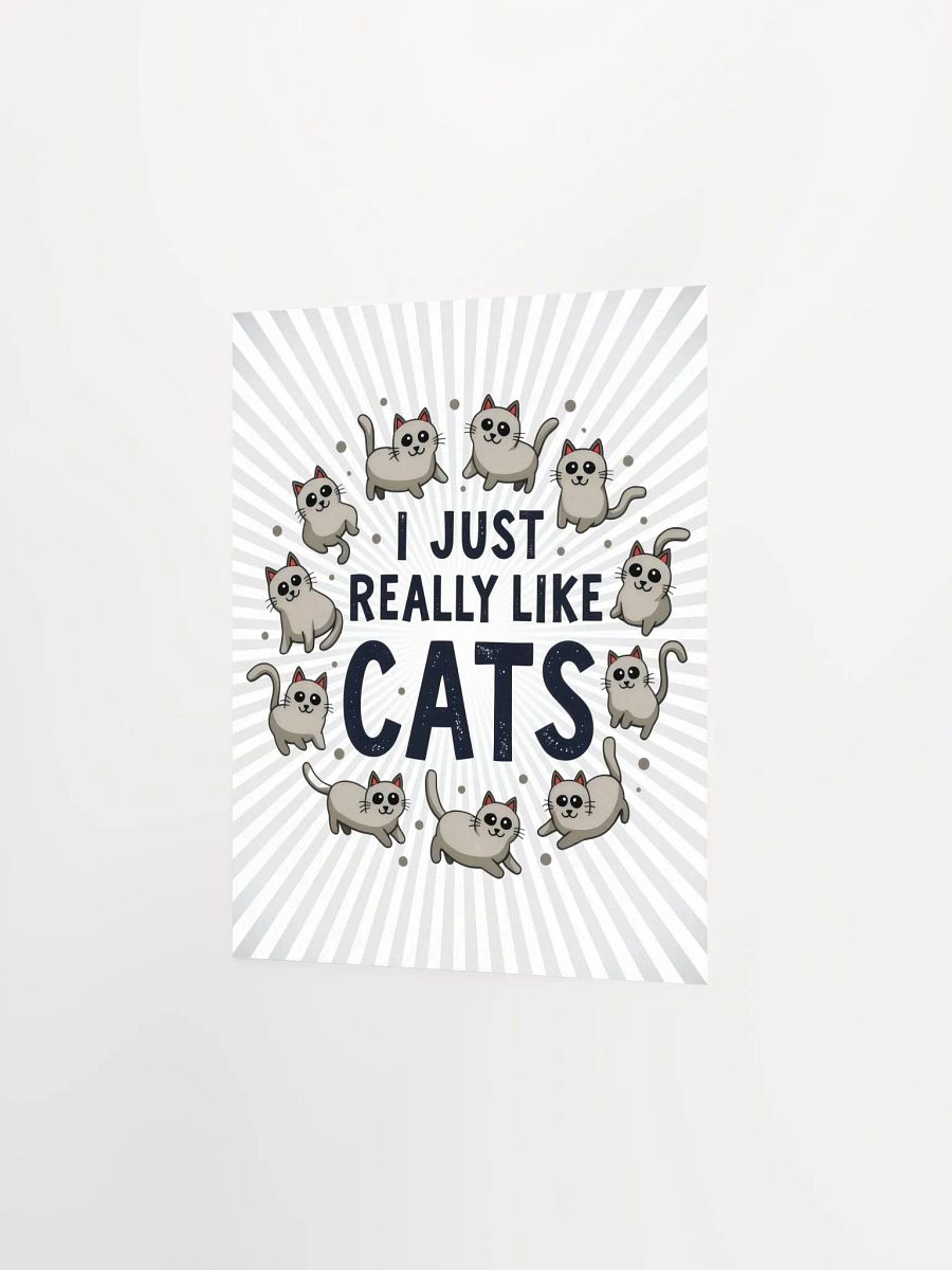 I Just Really Like Cats Poster product image (8)