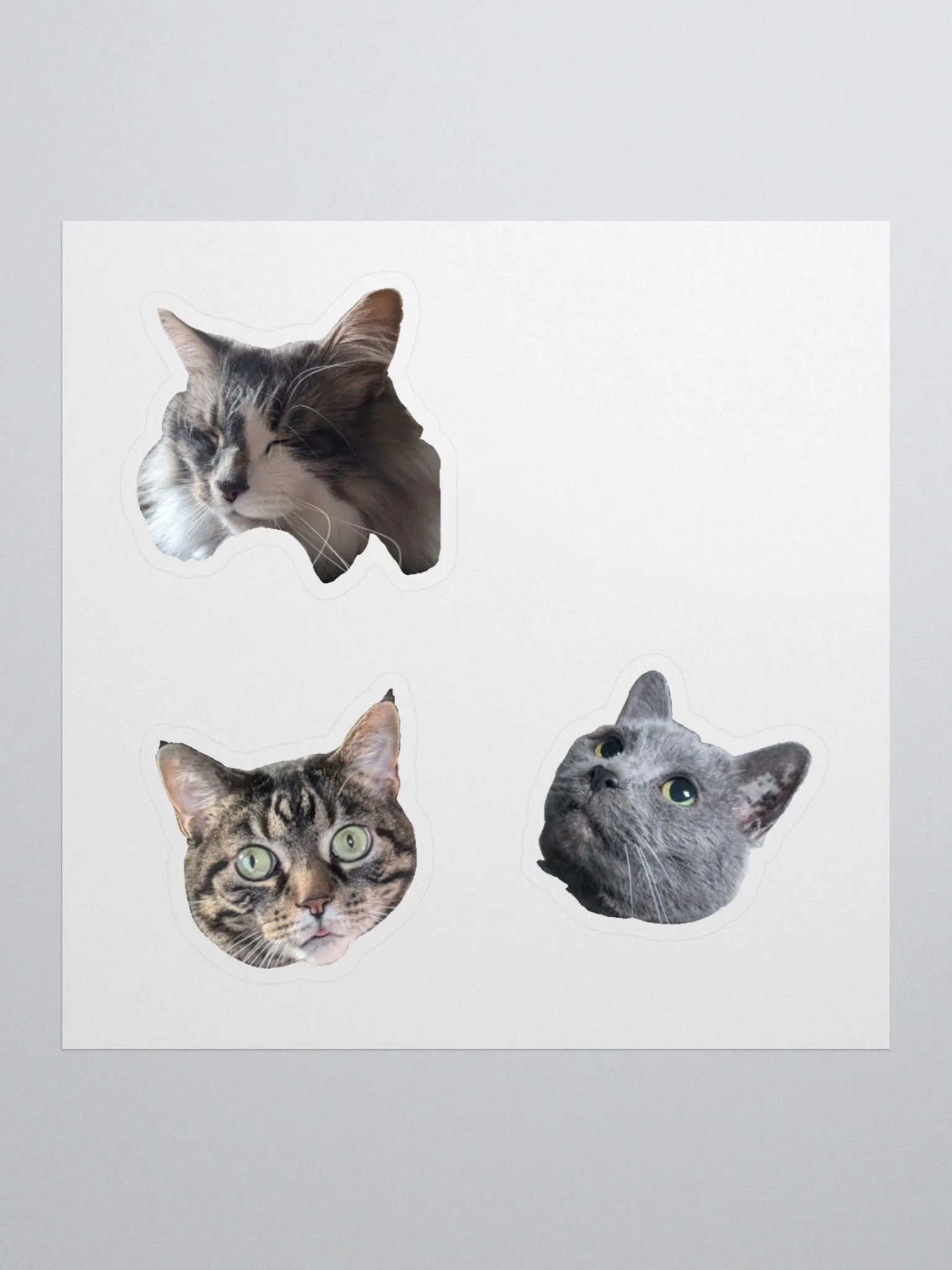 Kitty Stickers product image (3)