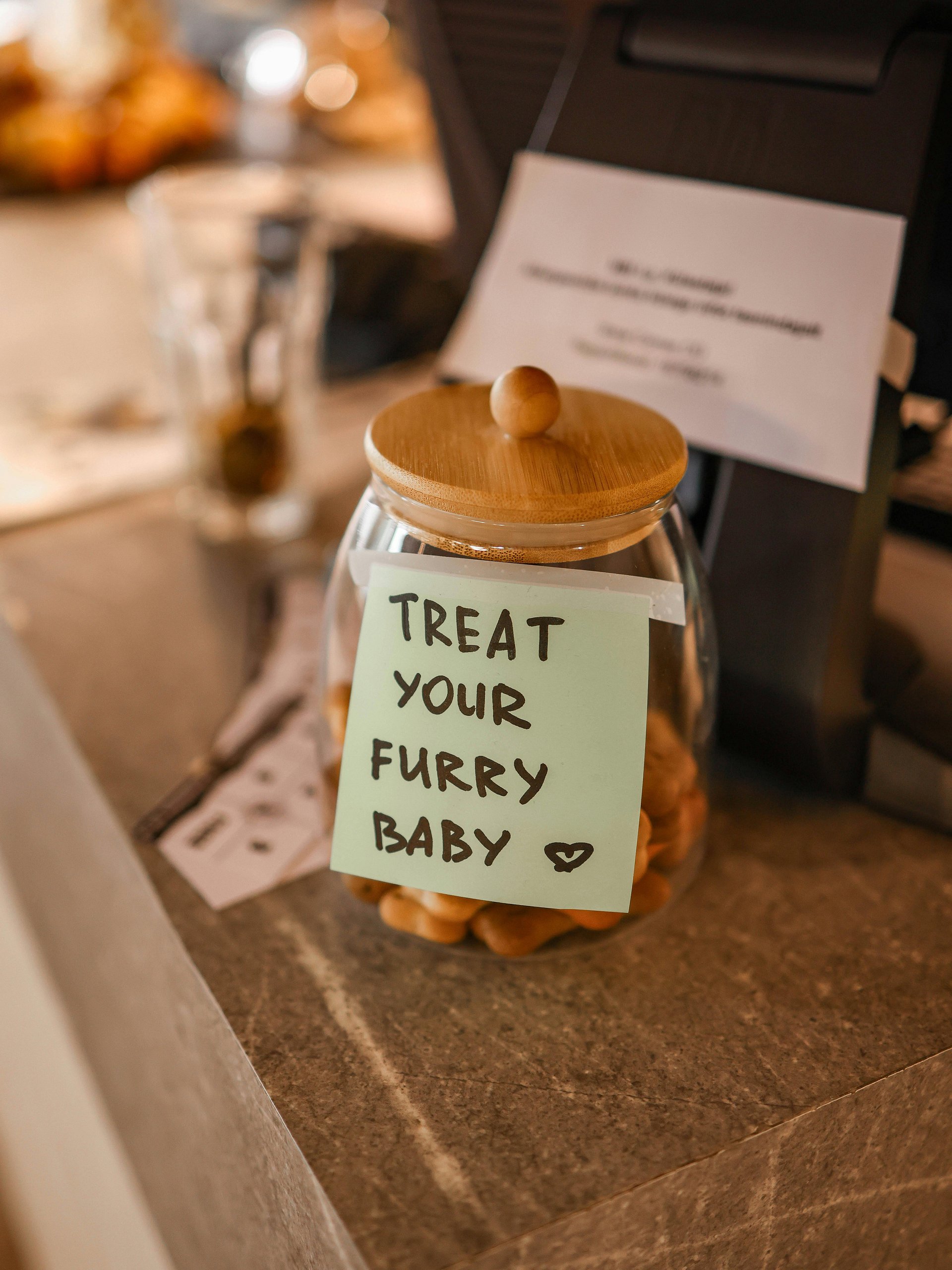 Cat Treat Recipes: 5 Easy Homemade Recipes Product product image (1)