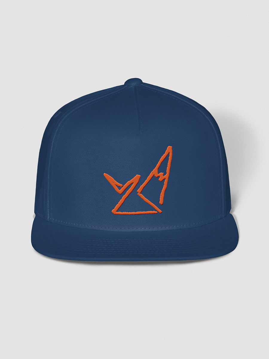 amazin snapback product image (1)