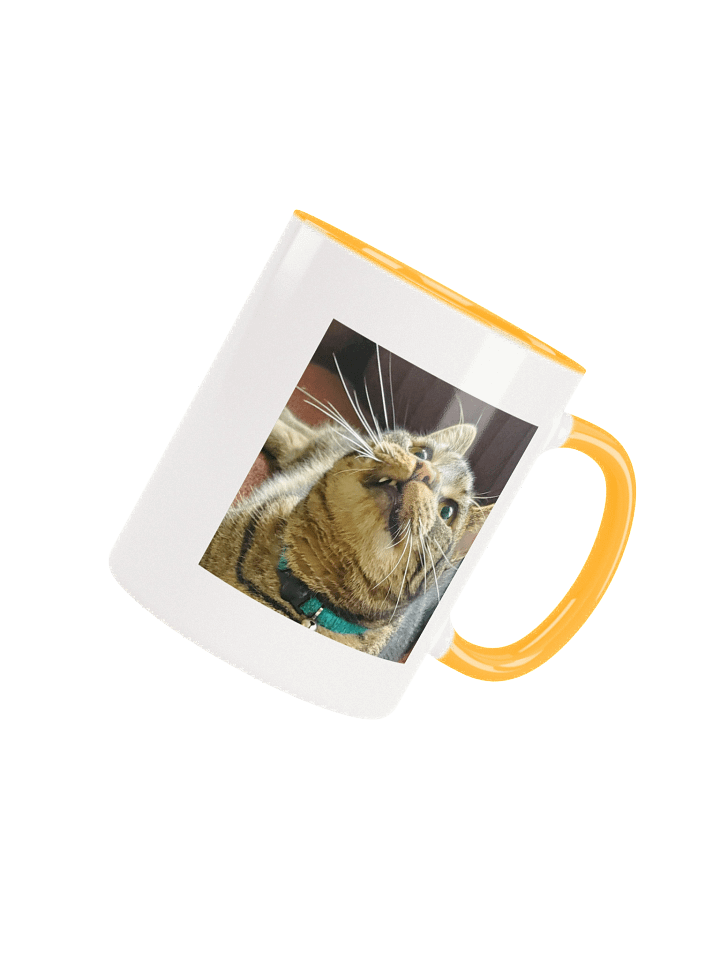 Gar Zoomy Juice Ceramic 11oz Mug 2 product image (41)