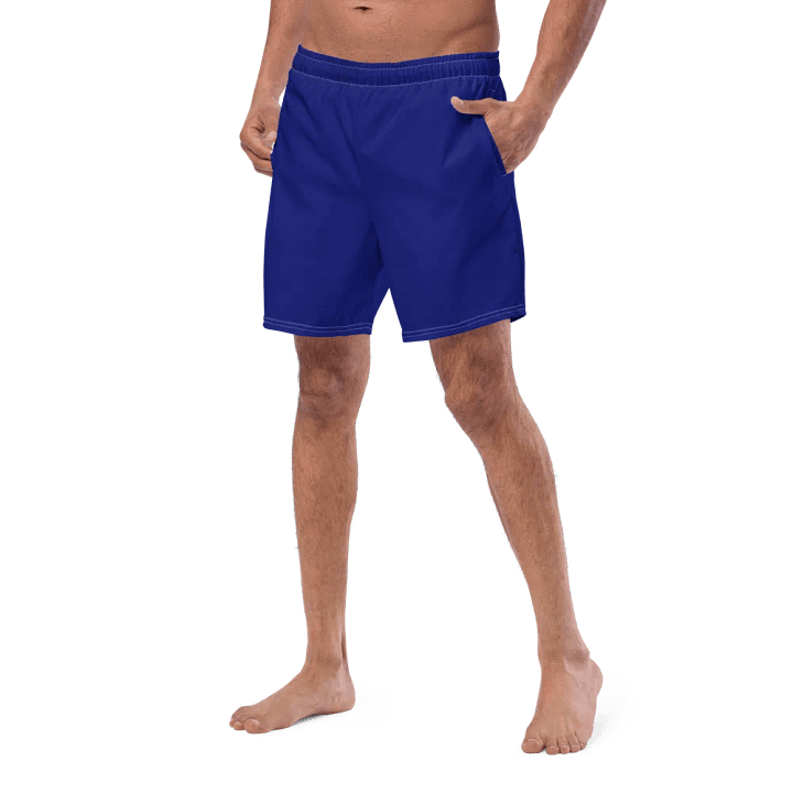 NJLRE X SERHANT - MENS BATHING SUIT product image (2)