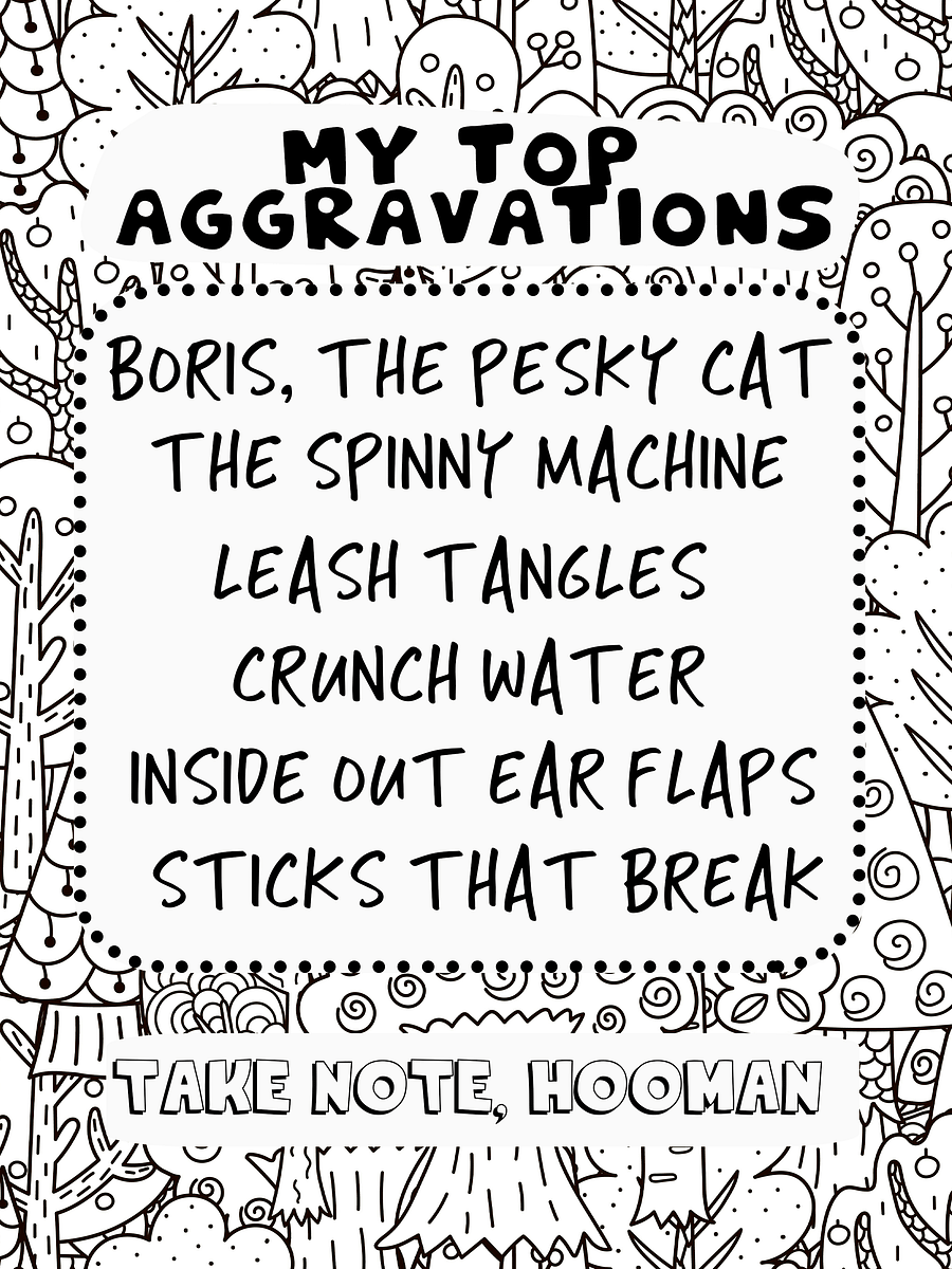 The Thoughts of My Afghan Hound: A Coloring Book product image (5)