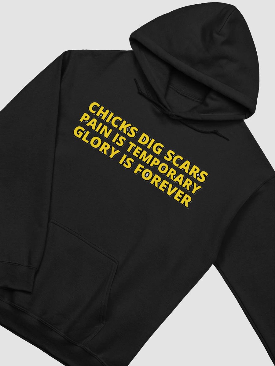 CHICKS DIG SCARS, PAIN IS TEMPORARY, GLORY IS FOREVER product image (32)