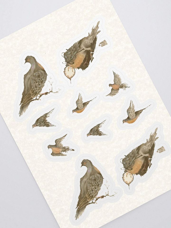 Passenger Pigeon product image (1)