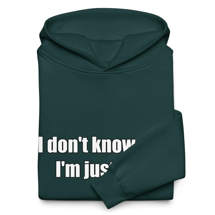Just Here Premium Hoodie product image (10)