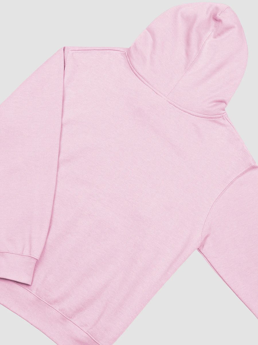 Heartfelt Reminder Midweight Hoodie product image (4)