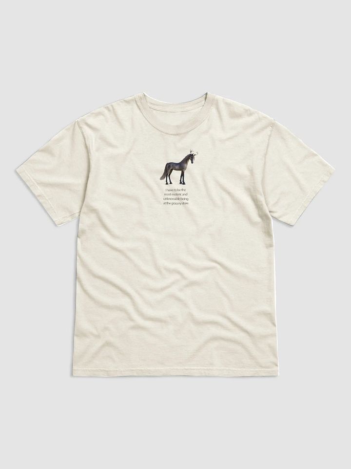 'I have to be the most esoteric being...' T Shirt (design on front) product image (21)