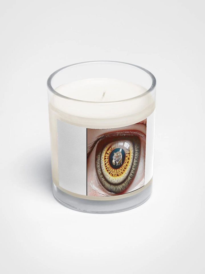 The Eye of the Tiger product image (2)