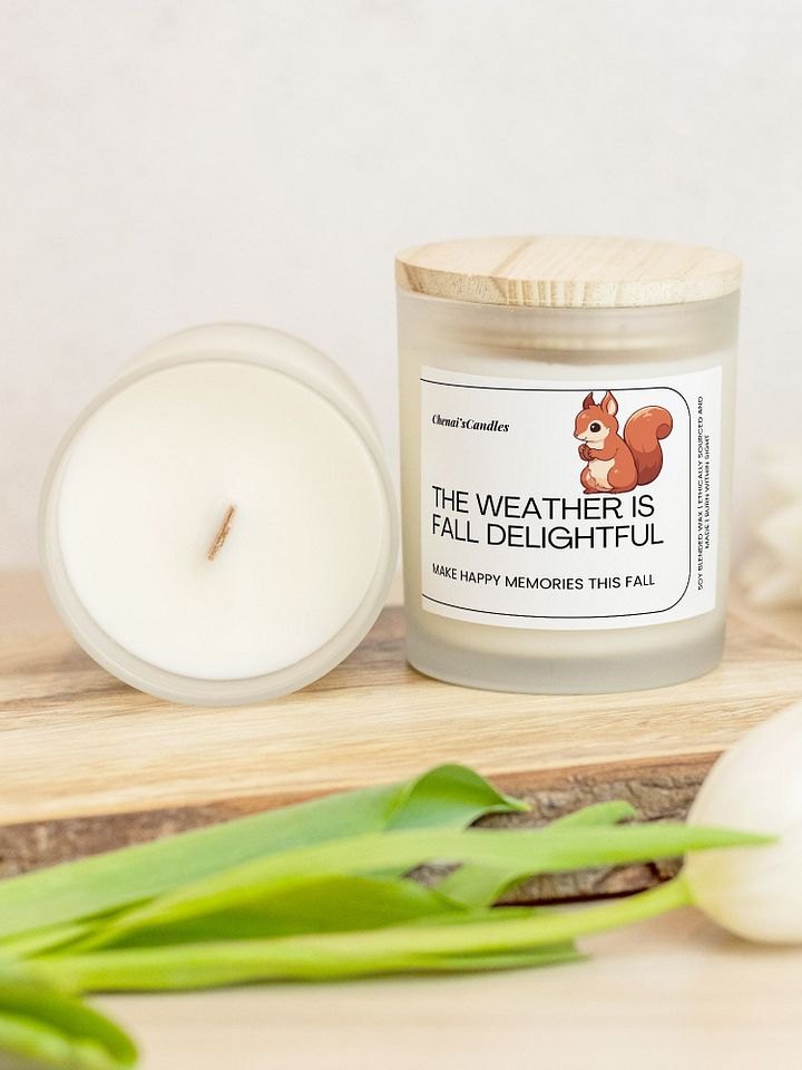 Fall Frosted Candle product image (1)