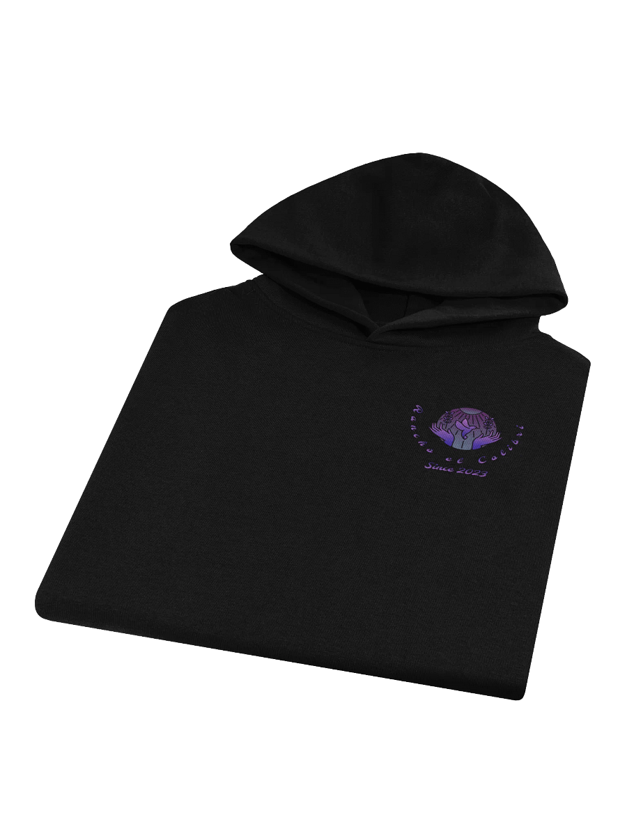 Pollos v1 Oversized Hoodie product image (12)