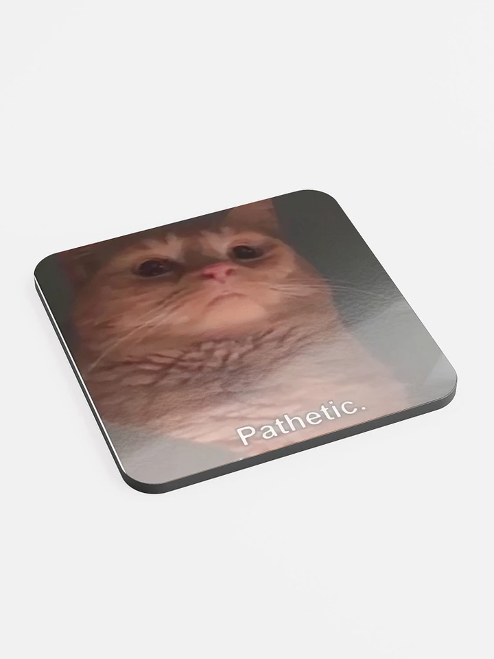 Glossed Cork Coaster: Meme Cats product image (2)