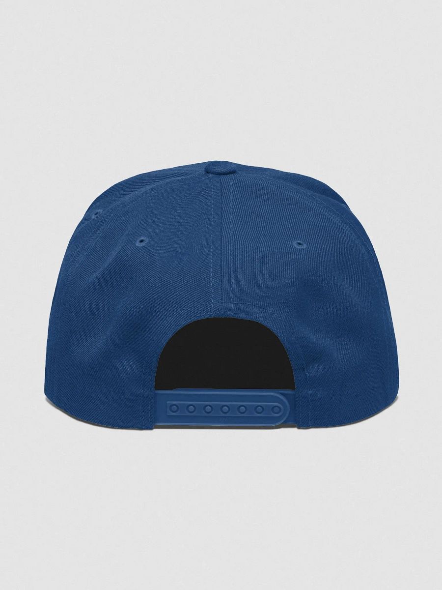 PVD, Embroidered Wool Blend Cap product image (40)