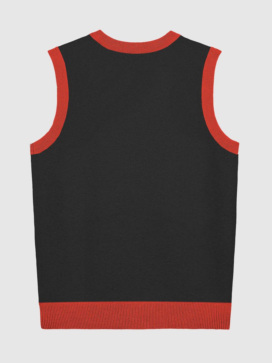 Multicolored Knitted Vibe V-Neck Vest product image (9)