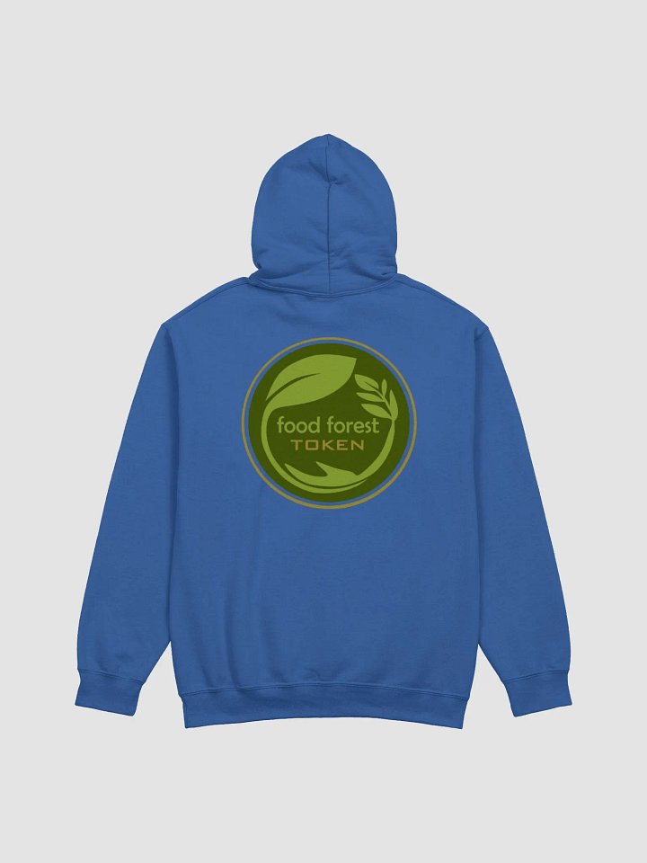 FFS Hoodie Royal - Felpa Royal FFS product image (2)