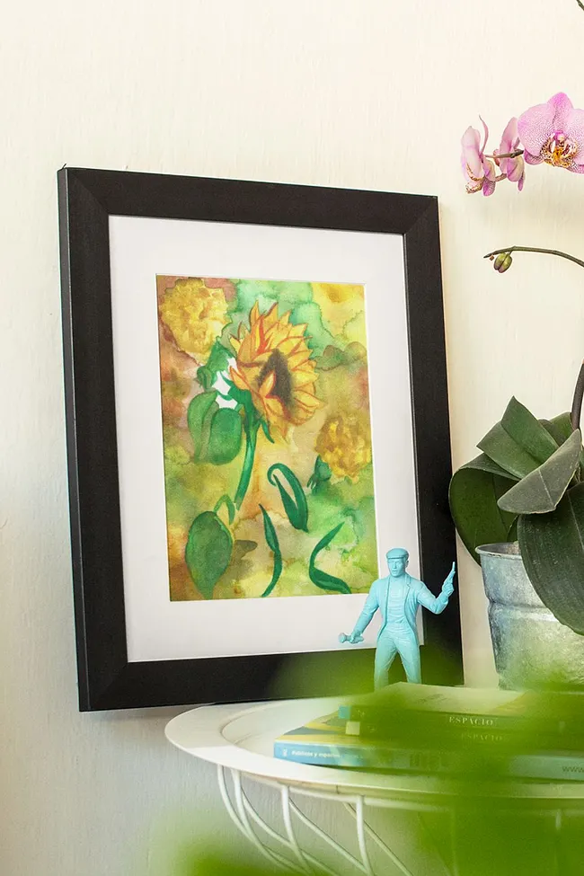 Nature & Landscapes Framed Prints 