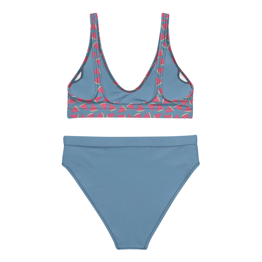 Watermelon Patterns Bikini product image (5)
