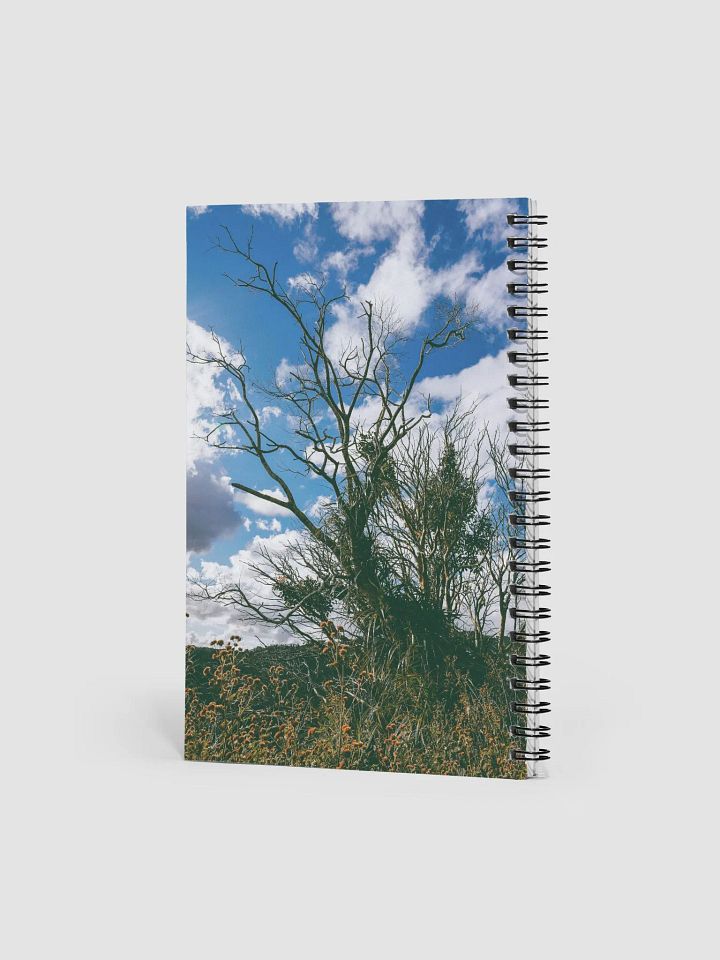 Branches | Hawaii product image (2)