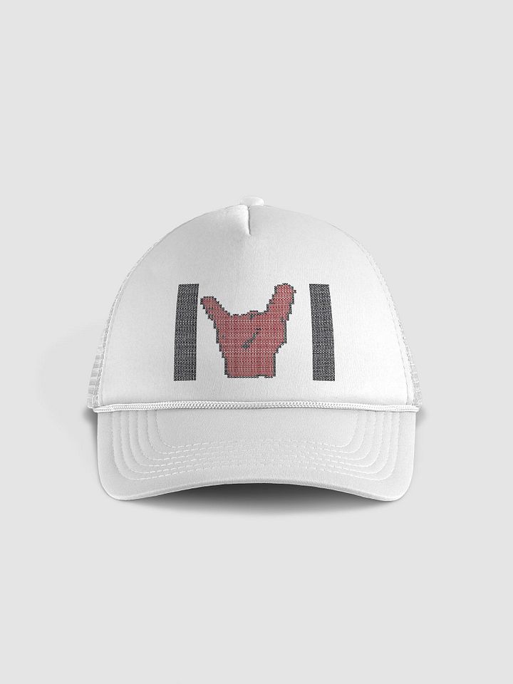 TDI Logo 2 Hat product image (1)