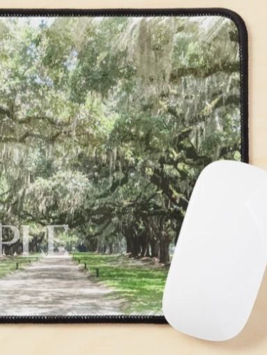 Avenue of the Oaks, Boone Hall Plantation Digital Watercolor Image Download product image (4)