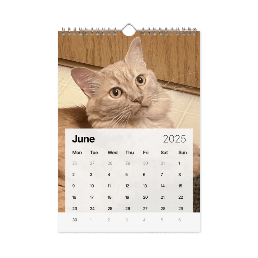 Gwen and Dia Calendar 2025 product image (8)