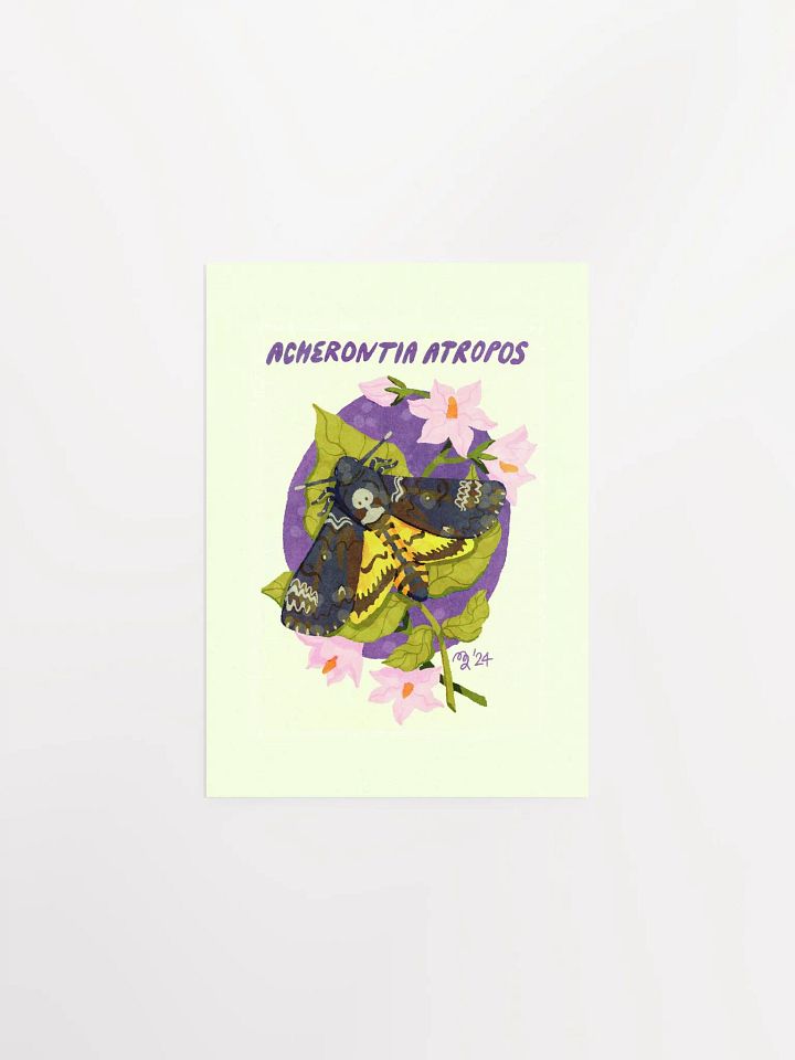 Death's-Head Hawk Moth Print product image (1)
