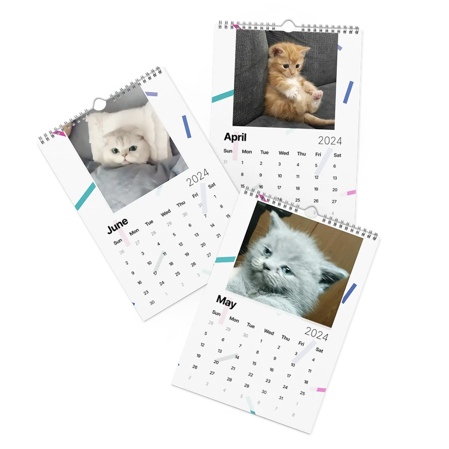 Wall Calendar (2024): Meme Cats product image (3)