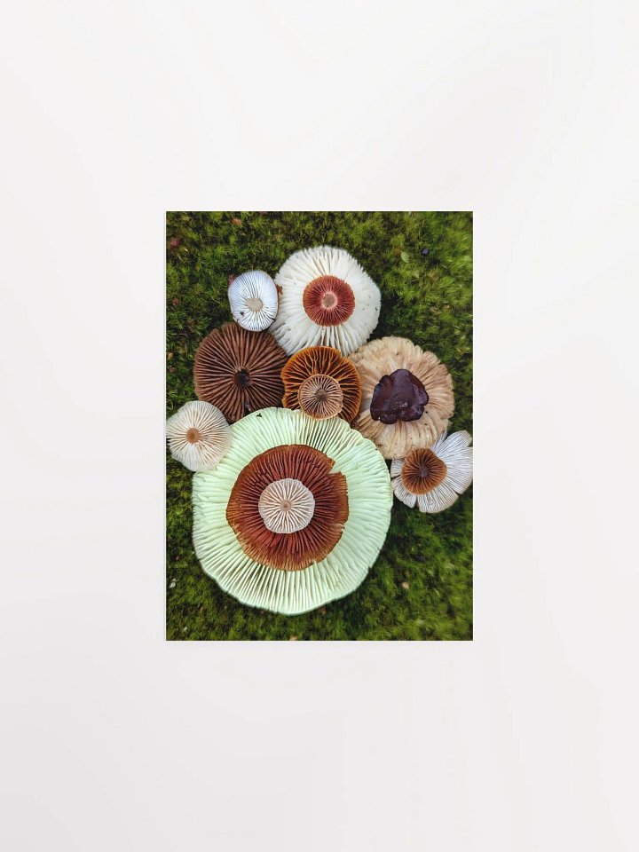 A Thousand Gills (Print) product image (3)