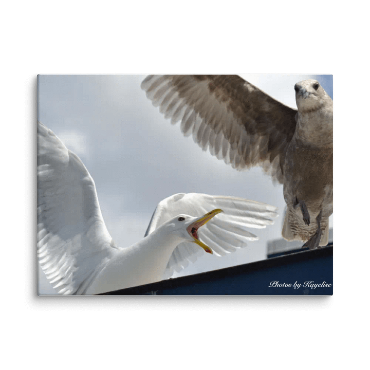 Seagull's Fighting product image (1)
