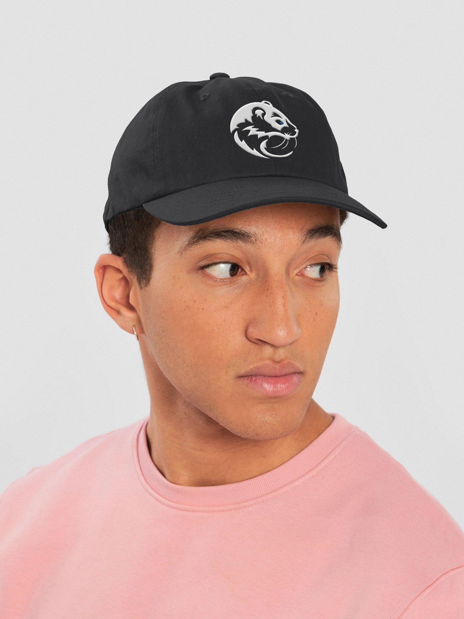 DJ Weasel Inverted 2025 Edition Hat product image (6)