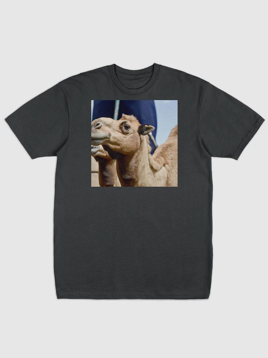 T-Shirt Camel product image (1)