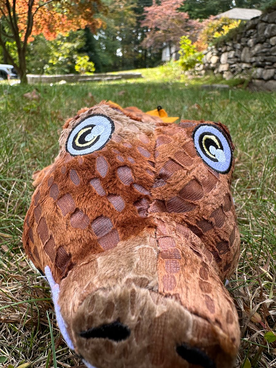 Crocodile Plush product image (2)