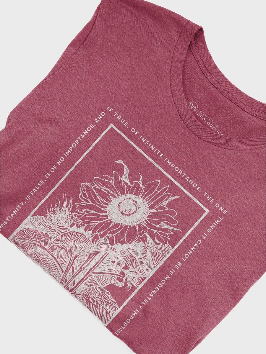 Christianity If True C.S. Lewis Quote Unisex T-Shirt product image (42)
