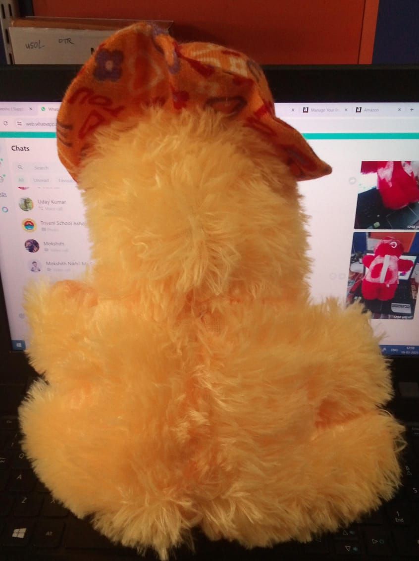 TEDDY BEAR product image (4)