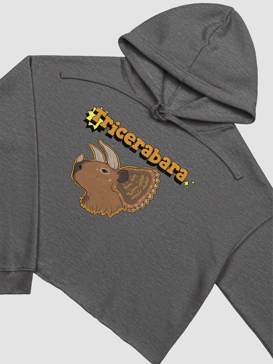 Tricerabara crop hoodie product image (14)