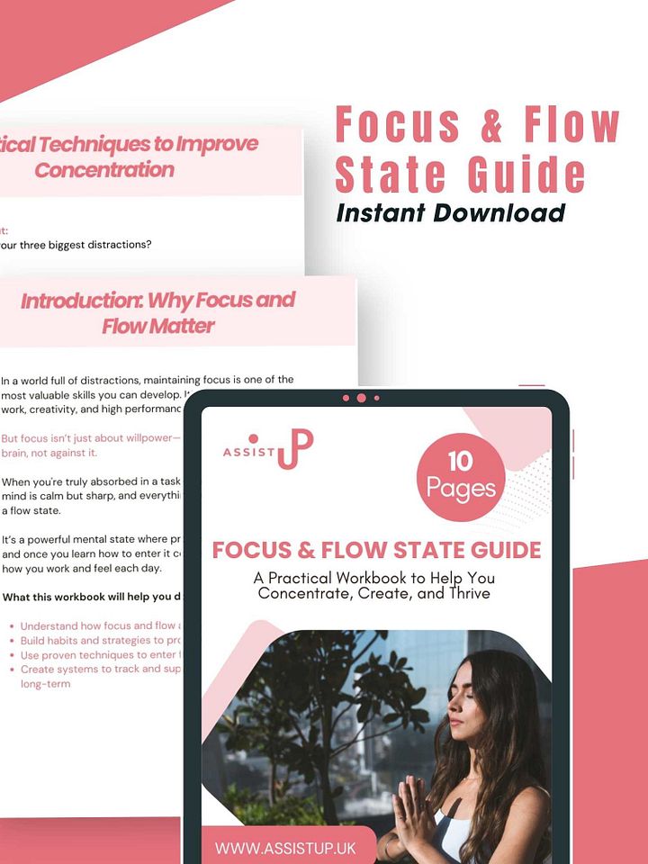 Focus and Flow State Workbook product image (2)
