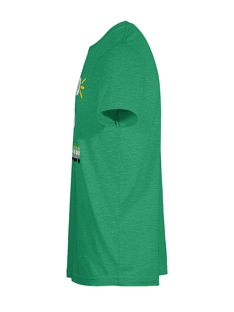 Loud and Proud Aromantic T-Shirt product image (107)