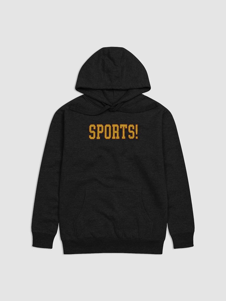 SPORTS! Hoodie (Black Alt) (BB x CH) product image (1)