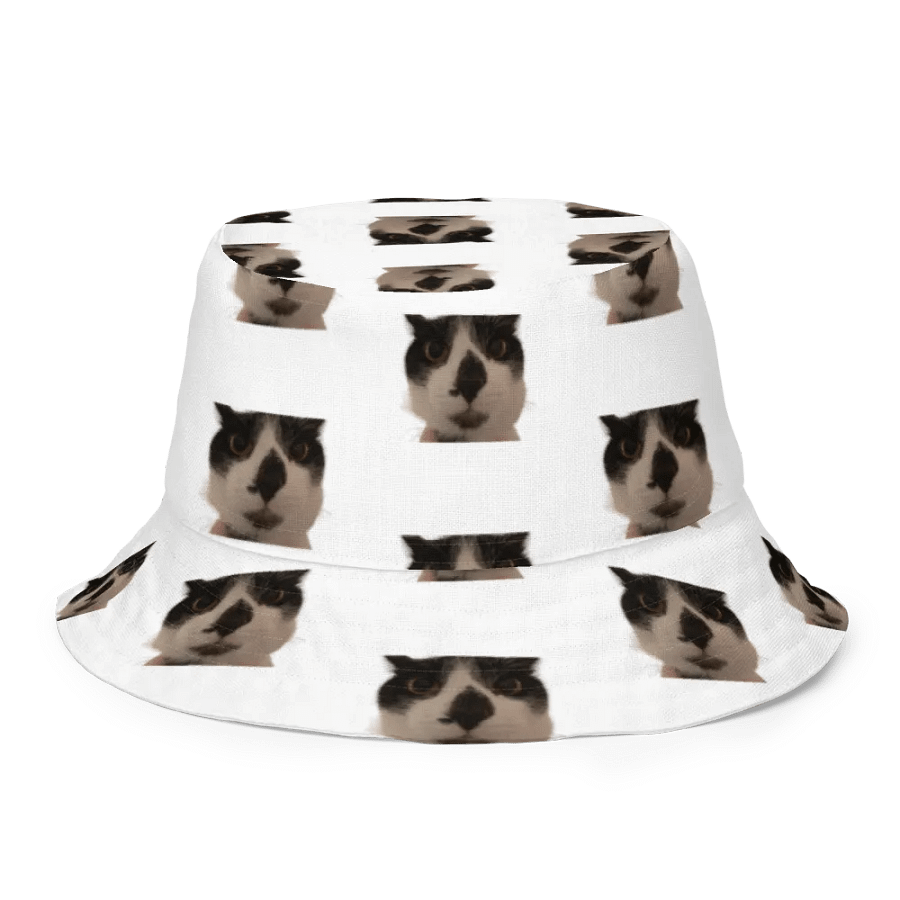 Kylo and Bubba Bucket Hat product image (3)