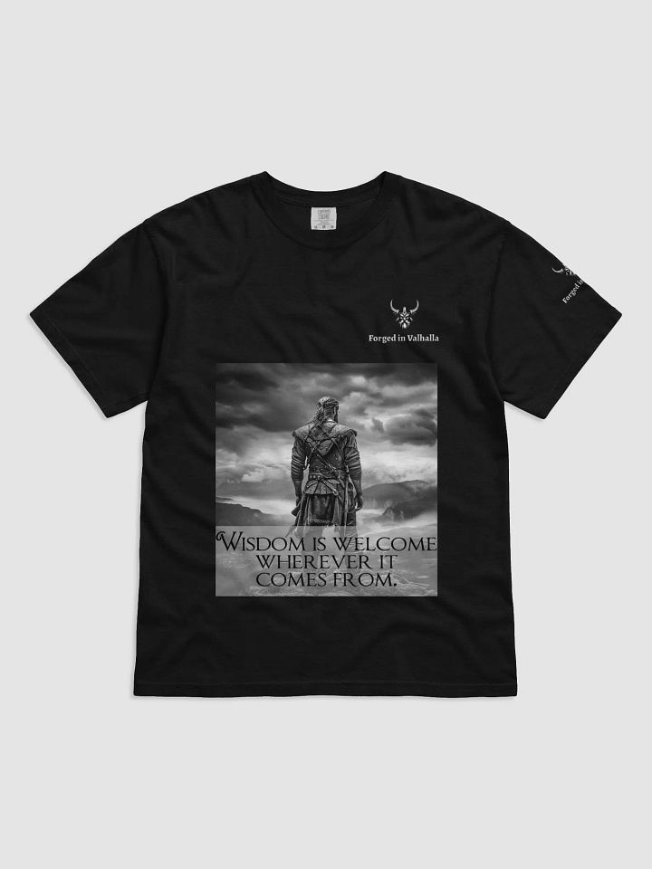 Wisdom is Welcome Men's Viking T-Shirt product image (2)