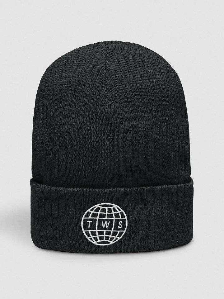 TransWorld SKATEboarding Global Beanie product image (1)