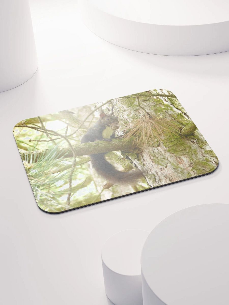 Classic Mouse Pad - The Eurasian red squirrel product image (4)