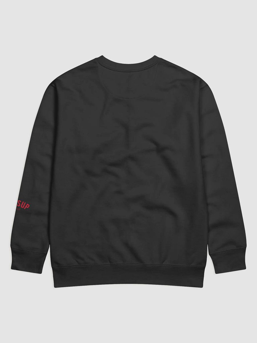 Catsup Phases Sweatshirt product image (2)
