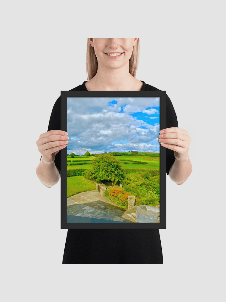 stairs to field Framed photography Poster product image (1)
